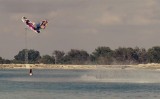 Nick Davies in the Backyard